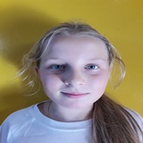 Urban Maja